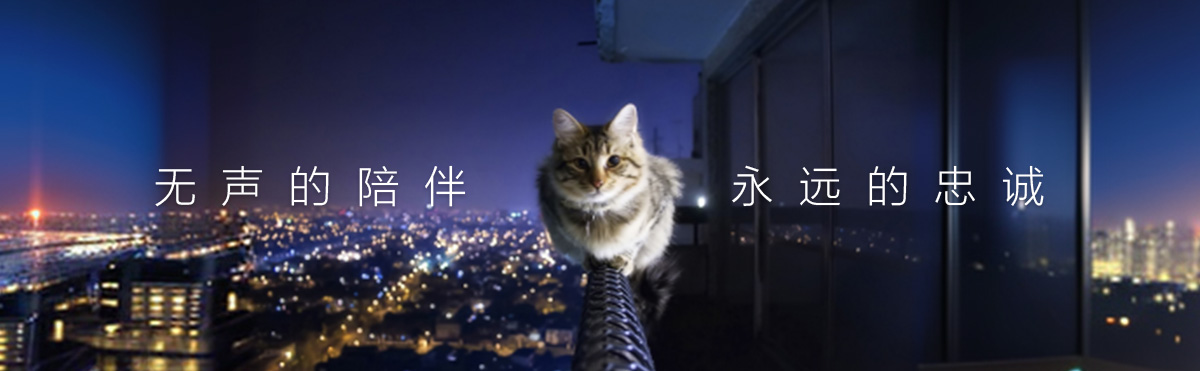 寵物3